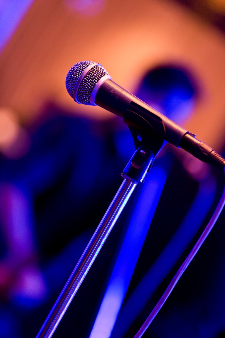 Photo of a microphone at a live music event